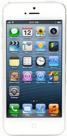 Смартфон Apple iPhone 5 64Gb White & Silver - Канаш