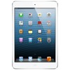 Apple iPad mini 16Gb Wi-Fi + Cellular белый - Канаш