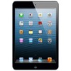 Apple iPad mini 64Gb Wi-Fi черный - Канаш