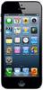 Смартфон Apple iPhone 5 16Gb Black & Slate - Канаш