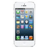 Apple iPhone 5 16Gb white - Канаш